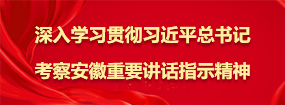 深入學(xué)習(xí)貫徹習(xí)近平總書記考察安徽重要講話指示精神